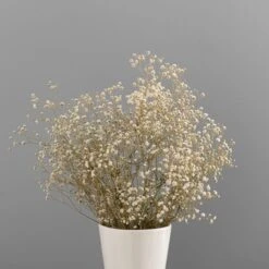 Dunelm Dried White Gypsophila Bundle 8 Dunelm Dried White Gypsophila Bundle -Decoration Store 30748843 alt03