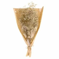 Dunelm Dried White Gypsophila Bundle 9 Dunelm Dried White Gypsophila Bundle -Decoration Store 30748843 alt04