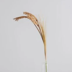 Dunelm Tall Natural Seeded Grass 128cm -Decoration Store 30749015 alt02
