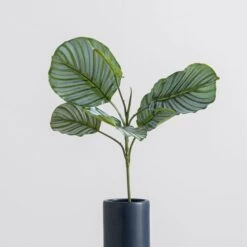 Dunelm Artificial Calathea Stem 8 Dunelm Artificial Calathea Stem -Decoration Store 30749027 alt03