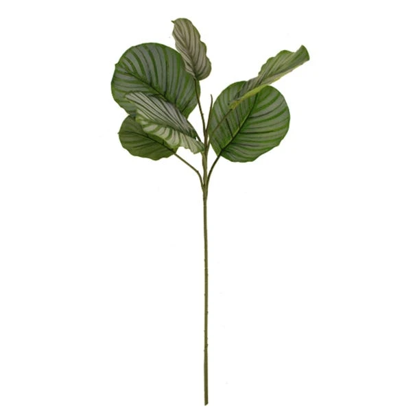 Dunelm Artificial Calathea Stem 5 Dunelm Artificial Calathea Stem - Image 5