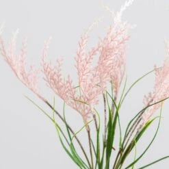 Dunelm Pink Seeding Grass Bundle -Decoration Store 30749030 alt02