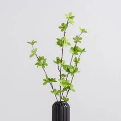 Dunelm Green Foliage Stem 66cm -Decoration Store 30749036 alt02