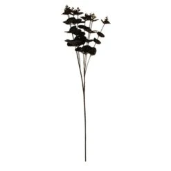 Dunelm Black Eucalyptus Spray 72cm 7 Dunelm Black Eucalyptus Spray 72cm -Decoration Store 30749052 alt02