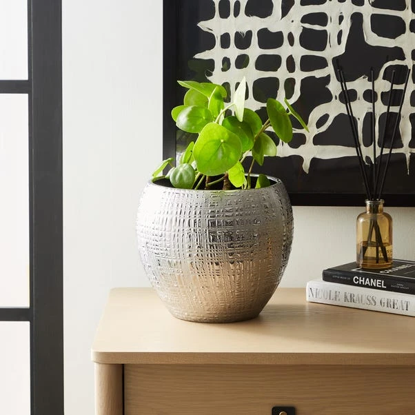 Dunelm Silver Romano Plant Pot 22cm 1 Dunelm Silver Romano Plant Pot 22cm