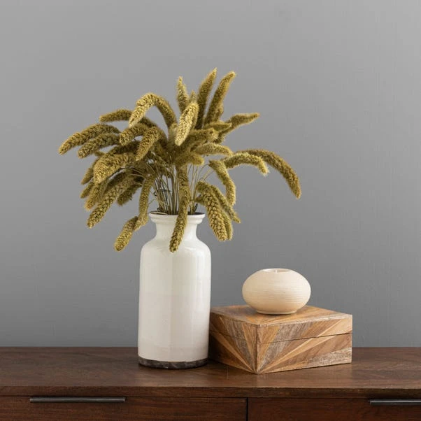 Dunelm Dried Setaria Macrostachia 50cm Natural Bundle 1 Dunelm Dried Setaria Macrostachia 50cm Natural Bundle