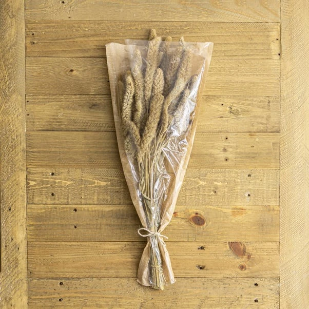 Dunelm Dried Setaria Macrostachia 50cm Natural Bundle 2 Dunelm Dried Setaria Macrostachia 50cm Natural Bundle - Image 2
