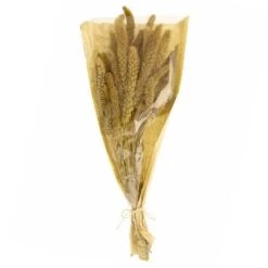 Dunelm Dried Setaria Macrostachia 50cm Natural Bundle 9 Dunelm Dried Setaria Macrostachia 50cm Natural Bundle -Decoration Store 30751160 alt04