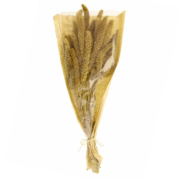 Dunelm Dried Setaria Macrostachia 50cm Natural Bundle 5 Dunelm Dried Setaria Macrostachia 50cm Natural Bundle - Image 5
