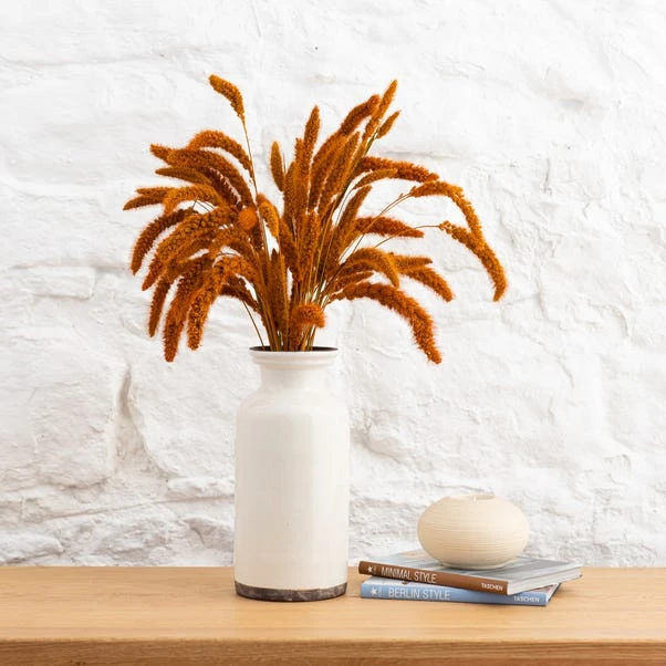 Dunelm Dried 55cm Orange Setaria Macrostachia Bundle 1 Dunelm Dried 55cm Orange Setaria Macrostachia Bundle