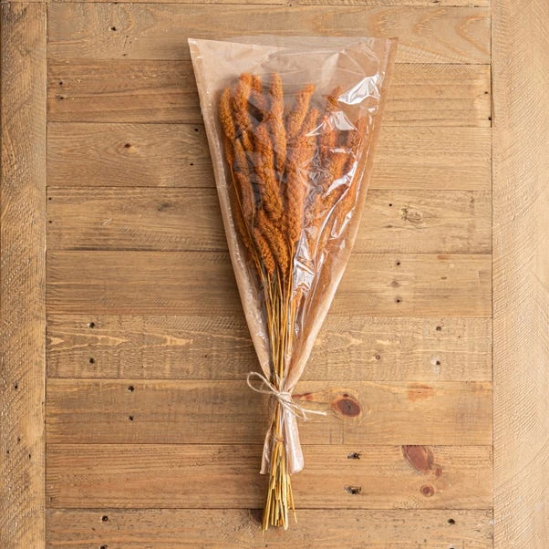 Dunelm Dried 55cm Orange Setaria Macrostachia Bundle 2 Dunelm Dried 55cm Orange Setaria Macrostachia Bundle - Image 2