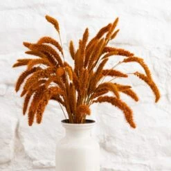 Dunelm Dried 55cm Orange Setaria Macrostachia Bundle 10 Dunelm Dried 55cm Orange Setaria Macrostachia Bundle -Decoration Store 30751171 alt04