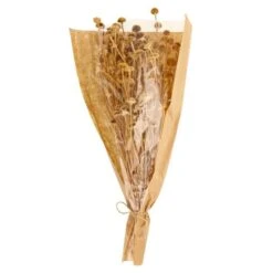 Dunelm Dried Natural Wild Daisy Bundle -Decoration Store 30751174 alt05