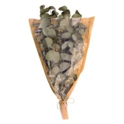 Dunelm Preserved Eucalyptus Syneria Bundle -Decoration Store 30751175 alt04