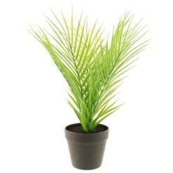 Dunelm Artificial Parlour Plant In Black Pot 30cm -Decoration Store 30752433 alt04