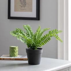 Dunelm Artificial Fern In Black Pot 30cm 6 Dunelm Artificial Fern In Black Pot 30cm -Decoration Store 30752435 alt02