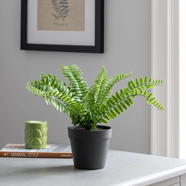 Dunelm Artificial Fern In Black Pot 30cm 3 Dunelm Artificial Fern In Black Pot 30cm - Image 3