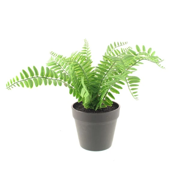 Dunelm Artificial Fern In Black Pot 30cm 4 Dunelm Artificial Fern In Black Pot 30cm - Image 4