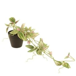 Dunelm Artificial Trailing Tradescantia In Black Pot 45cm -Decoration Store 30752440 alt03