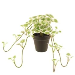 Dunelm Artificial Trailing Geranium In Pot 7 Dunelm Artificial Trailing Geranium In Pot -Decoration Store 30752444 alt03