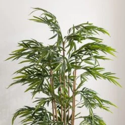 Dunelm Artificial Natural Bamboo Tree 180cm 7 Dunelm Artificial Natural Bamboo Tree 180cm -Decoration Store 30754634 alt02