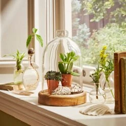 Decoration Store -Decoration Store 30756334 alt01