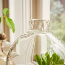 Natural History Museum Mango Wood Cloche -Decoration Store 30756334 alt02