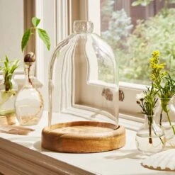 Natural History Museum Mango Wood Cloche -Decoration Store 30756334 alt04