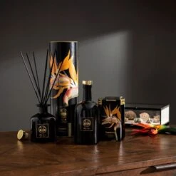 Natural History Museum Tropical Paradise Candle 410g -Decoration Store 30757063 alt04