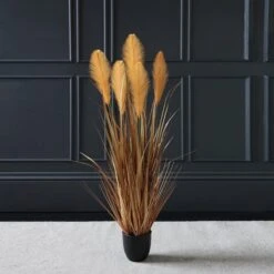 Scottish Everlastings Brown Potted Pampas 120cm