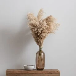 Dunelm Dried Pampas Natural Grass Bundle 75cm