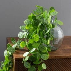 Dunelm Artificial Trailing Honesty Green 65cm -Decoration Store 30764939 alt03