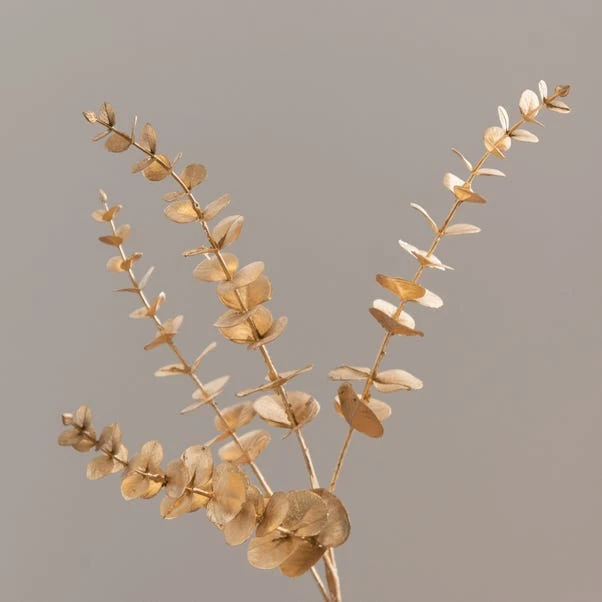 Dunelm Pack Of 12 Artificial Gold Eucalyptus Spray 2 Dunelm Pack Of 12 Artificial Gold Eucalyptus Spray - Image 2