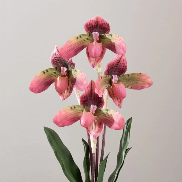 Dunelm Real Touch Slipper Orchid 45cm 2 Dunelm Real Touch Slipper Orchid 45cm - Image 2