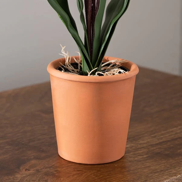 Dunelm Real Touch Slipper Orchid 45cm 3 Dunelm Real Touch Slipper Orchid 45cm - Image 3