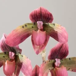 Dunelm Real Touch Slipper Orchid 45cm 9 Dunelm Real Touch Slipper Orchid 45cm -Decoration Store 30766508 alt03