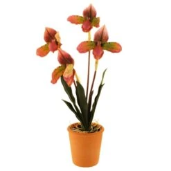 Dunelm Real Touch Slipper Orchid 45cm 11 Dunelm Real Touch Slipper Orchid 45cm -Decoration Store 30766508 alt05