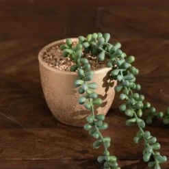Dunelm String Of Pearls In Gold Pot