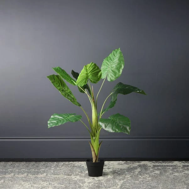 Scottish Everlastings Philo Tree 110cm 1 Scottish Everlastings Philo Tree 110cm