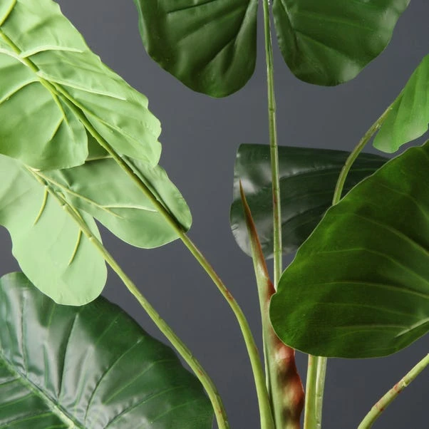 Scottish Everlastings Philo Tree 110cm 2 Scottish Everlastings Philo Tree 110cm - Image 2