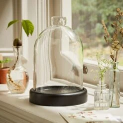 Dunelm Black Mango Wood Cloche -Decoration Store 30779657 alt04