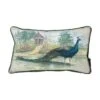 Kilburn_and_scott Aquarelle Peacock Cushion