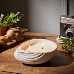 Natural History Museum Cockle Sea Forest Candle