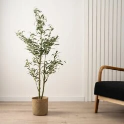 Scottish Everlastings Slim Silhouette Olive Tree 130cm