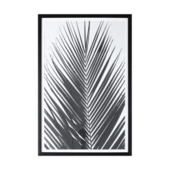 Cedar & Sage Greyscale Palm Framed Art 61 X 91cm