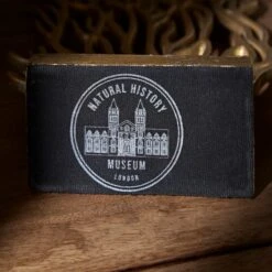 Dunelm Recycled Aluminium Flat Coral Reef Ornament -Decoration Store 30797978 alt03