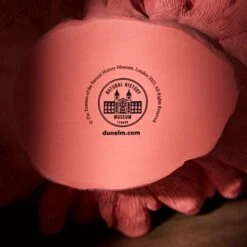 Natural History Museum Weighted Coral Reef Ornament -Decoration Store 30800589 alt03