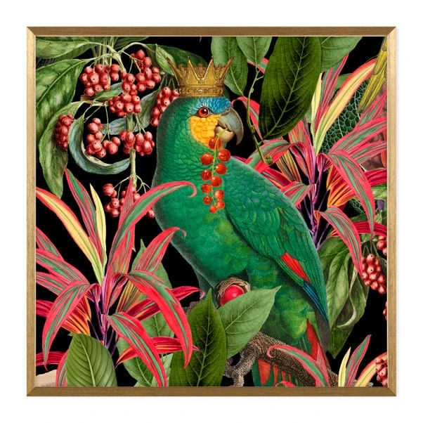 Dunelm Parrot King II Framed Print 2 Dunelm Parrot King II Framed Print - Image 2