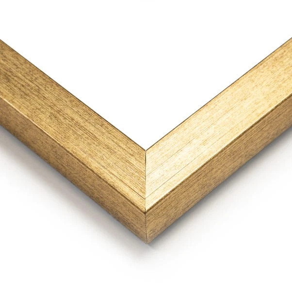 Dunelm Parrot King II Framed Print 3 Dunelm Parrot King II Framed Print - Image 3