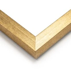 Dunelm Set Of 2 Framed Prints - Parrot Paradise -Decoration Store 30808373 alt02